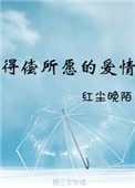 《得偿所愿的爱情》封面