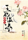 《重生之王妃温凉》封面