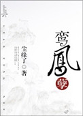 《鸾凤孽》封面