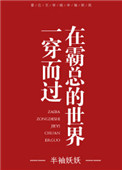《在霸总的世界一穿而过》封面