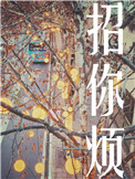 《招你烦》封面