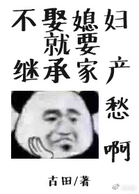《不娶媳妇就要继承家产》封面