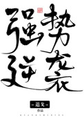 《强势逆袭》封面
