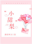 《小甜梨》封面