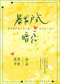 《暴发户式暗恋》封面