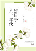 《六十年代好日子》封面
