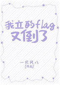《我立的flag又倒了》封面