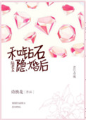 《和钻石陆老五隐婚》封面
