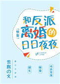 《和反派离婚的日日夜夜》封面