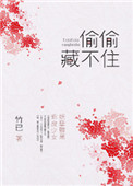 《偷偷藏不住》封面
