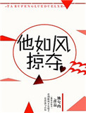 《他如风掠夺》封面