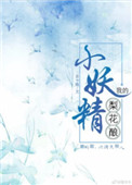 《我的梨花酿小妖精》封面