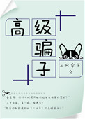 《高级骗子[娱乐圈]》封面