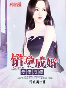 《错孕成婚，爱妻成瘾》封面