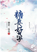 《糖妻好孕》封面