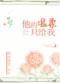 《他的温柔只给我》封面