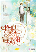 《恰似寒光遇骄阳》封面
