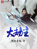 《大劫主》封面