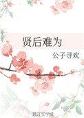 《贤后难为》封面