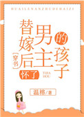 《替嫁后怀了男主的孩子[穿书]》封面