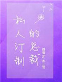 《私人订制的总裁》封面