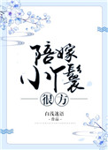 《陪嫁小丫鬟很方》封面