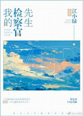 《我的检察官先生》封面