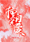 《擅自宠爱》封面