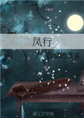《凤行》封面