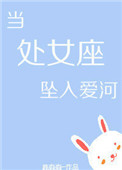 《当处女座坠入爱河[娱乐圈]》封面