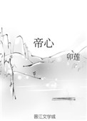 《帝心》封面