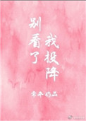 《别看了我投降》封面