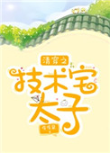 《清穿之技术宅太子》封面