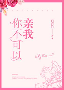《你不可以亲我》封面