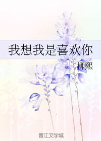 《我想我是喜欢你》封面