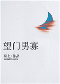 《望门男寡》封面