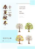 《十二年春夏秋冬》封面