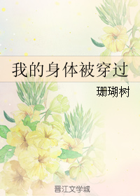 《我的身体被穿过》封面