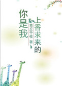 《你是我上香求来的》封面