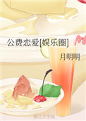 《公费恋爱[娱乐圈]》封面