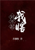 《对不起，我瞎》封面