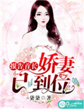 《报告首长：娇妻已到位》封面
