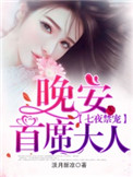 《七夜禁宠：晚安，首席大人》封面