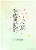 《穿成男配的心尖宠》封面
