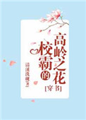 《校霸的高岭之花[穿书]》封面