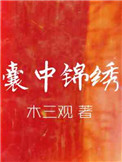 《囊中锦绣》封面
