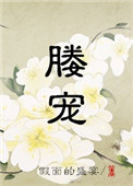 《媵宠》封面