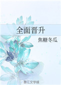 《全面晋升》封面