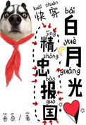 《白月光精忠报国[快穿]》封面