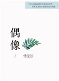 《偶像》封面